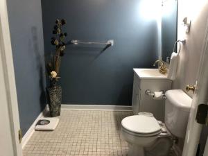 a bathroom with a white toilet and a blue wall at Spacious Unit with Mountain View in New Market
