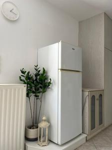 a white refrigerator in a kitchen with a potted plant at Best location in Vrachati in Vrachati