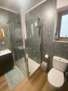 a bathroom with a shower and a toilet and a sink at Ben Nevis Manor Lodge & Indoor Private Hot-Tub in Fort William