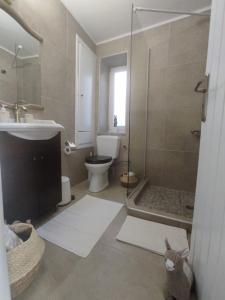een badkamer met een douche, een toilet en een wastafel bij House Moschα in Ándros