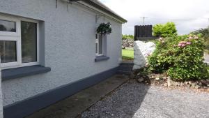 Sligo Wild Atlantic Cottage في سليغو: منزل به نافذة وشجيرة زهور