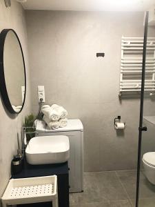 a bathroom with a sink and a mirror and a toilet at Apartimento Hydral Spero in Wrocław