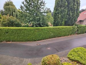 a driveway with a hedge and a street at B&B Grenspaal 286 in Hillensberg