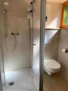 bagno con doccia e servizi igienici. di Nurdachhaus am Geyersberg a Freyung