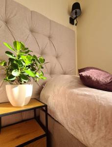 Posteľ alebo postele v izbe v ubytovaní Malta Premium Apartment, free parking, self check-in 24h