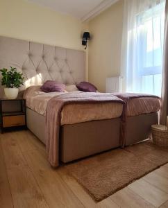 een slaapkamer met een bed met paarse kussens en een raam bij Malta Premium Apartment, free parking, self check-in 24h in Poznań