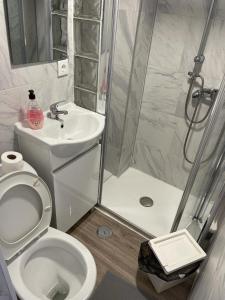 La salle de bains est pourvue d'une douche, de toilettes et d'un lavabo. dans l'établissement PARAISO Da PENHA, à Lisbonne