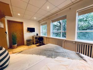 1 dormitorio con 1 cama, escritorio y ventanas en Day Dream Vesturgata 17 Reykjavik, en Reikiavik