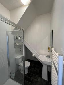 a bathroom with a toilet and a sink at Abbey House B & B in Penrith