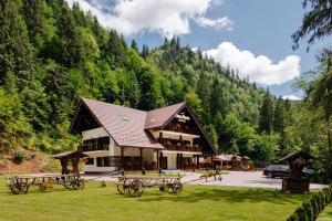 un grand bâtiment avec des tables de pique-nique en face d'une montagne dans l'établissement Pensiunea Agroturistică Casa Maria, à Rodna