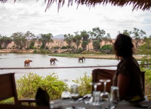 a woman sitting at a table looking at three elephants in a river at Kudu Safari Camp in Koito