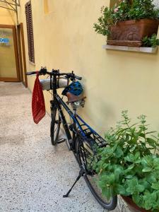 Jízda na kole v ubytování Hotel Umbria nebo okolí