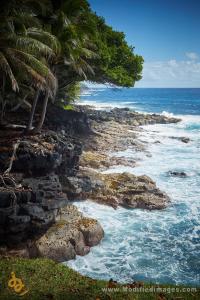 Pahoa的住宿－Open Gate Hostel Hawaii，棕榈树和海洋的岩石海岸