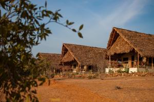 two buildings with thatched roofs in a field at Kudu Safari Camp in Koito +55 photos
