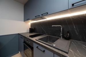 Kuchyň nebo kuchyňský kout v ubytování Tare apartment