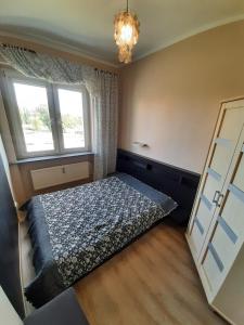 sypialnia z łóżkiem i dwoma oknami w obiekcie Apartament Kaszownik w Toruniu