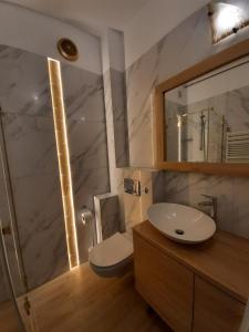 łazienka z umywalką, toaletą i lustrem w obiekcie Apartament Kaszownik w Toruniu