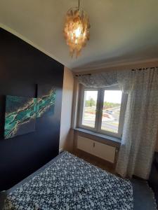 sypialnia z łóżkiem i oknem w obiekcie Apartament Kaszownik w Toruniu +3 zdjęcia