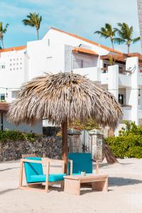Fotografie z fotogalerie ubytování Central & Modern, Pool View, Close to beach, 2Br,2Bt v destinaci Punta Cana
