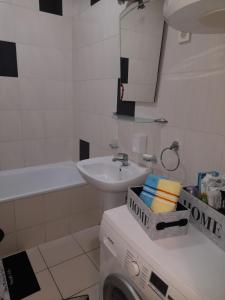 Un baño con lavadora y lavabo. en Apartman Aurora, en Novi Sad 6 fotos más