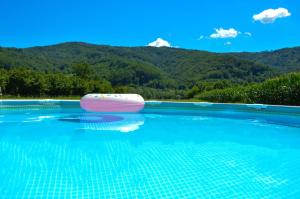 a swimming pool with a pink raft in the water at Drinska kućica in Ljubovija