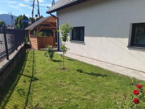 einen Hof mit zwei kleinen Bäumen neben einem Haus in der Unterkunft Farma u Irka in Rybarzowice