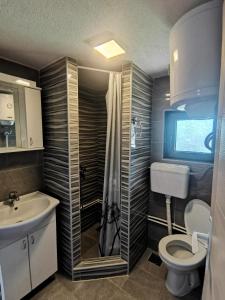 ein Bad mit einem WC, einem Waschbecken und einer Dusche in der Unterkunft Vikendica Čeperković #2 in Kopaonik