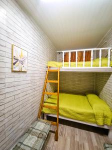 a bunk bed in a small room with a ladder at Tiny houses in the garden in Câmpulung Moldovenesc