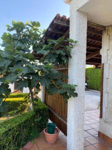 Zdjęcie z galerii obiektu Agradable chalet rústico w mieście Cambre