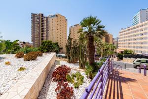 un banc violet dans une ville avec des palmiers et des plantes dans l'établissement TROPIC MAR Levante beach apartments, à Benidorm
