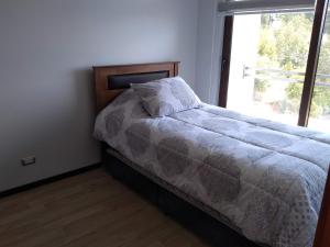 1 dormitorio con cama con almohada y ventana en Casa Pingueral Tomé en Concepción