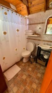a bathroom with a toilet and a sink at Cabañas del Rosario in Puerto Santa Cruz +15 photos
