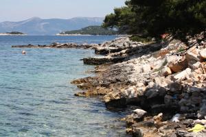 einem felsigen Ufer eines Wasserkörpers in der Unterkunft Rooms by the sea Pomena, Mljet - 4929 in Pomena