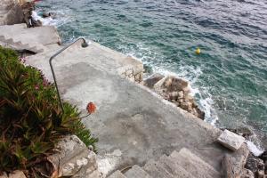 Fotografie z fotogalerie ubytování Apartments by the sea Sobra, Mljet - 4889 v destinaci Babino Polje