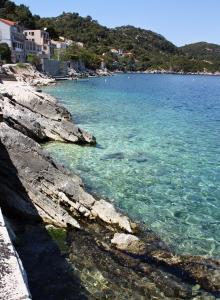 Fotografie z fotogalerie ubytování Apartments by the sea Sobra, Mljet - 4889 v destinaci Babino Polje