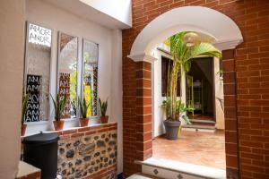 Fotografie z fotogalerie ubytování Why Not Hotel v destinaci Antigua Guatemala