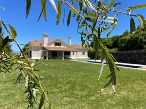 a house with a green lawn in front of it at Azores Green Nature in Rabo de Peixe