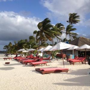 - une rangée de chaises longues et de parasols sur une plage dans l'établissement L&Y Punta Cana Beach Apartament, à Punta Cana