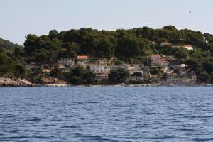 Fotografie z fotogalerie ubytování Apartments by the sea Cove Saplunara, Mljet - 4914 v destinaci Saplunara