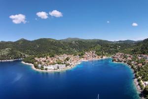 an aerial view of a small island in a body of water at Apartments by the sea Brna, Korcula - 5902 in Smokvica