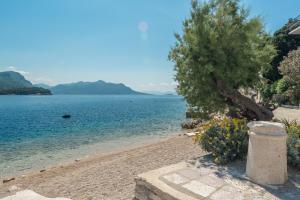a beach with a tree and a body of water at Double Room Trstenik 4566c in Trstenik