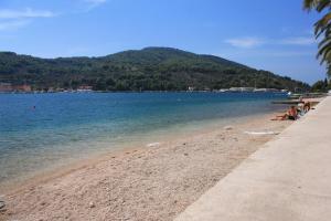 Fotografie z fotogalerie ubytování Apartments with a parking space Vela Luka, Korcula - 7551 v destinaci Vela Luka