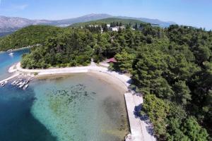 an aerial view of a beach with trees and water at Apartments and rooms with parking space Korcula - 4399 in Korčula
