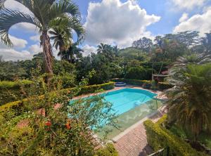 uma piscina num jardim com uma palmeira em Hotel Chalet El Castillo by Majuva em Armênia