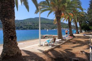 a beach with palm trees and chairs and the water at Apartments by the sea Vela Luka, Korcula - 9243 in Vela Luka