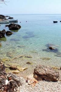 Fotografie z fotogalerie ubytování Apartments by the sea Molunat, Dubrovnik - 8956 v destinaci Molunat
