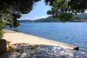 Galeriebild der Unterkunft Apartments by the sea Zaton Mali (Dubrovnik) - 9049 in Zaton