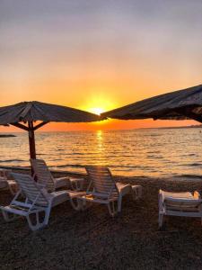 zwei Stühle und ein Sonnenschirm am Strand mit Sonnenuntergang in der Unterkunft APARTMENT SECRET GARDEN 3 in Zaton