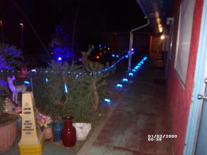 a garden with christmas lights on the side of a house at Safari Motor Inn - Joshua Tree in Joshua Tree