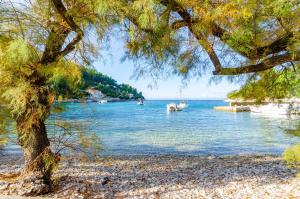 BabinaにあるSeaside secluded apartments Cove Danca - Babina, Korcula - 9322の海上の木 +11枚の写真